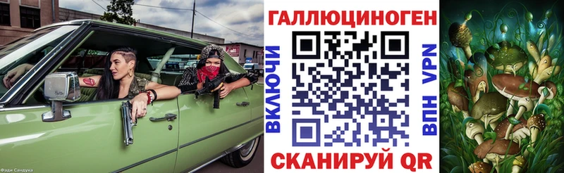 Галлюциногенные грибы Psilocybe это какой сайт Приозерск